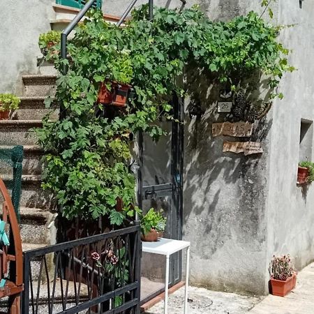 Nicolas House Campiglia dʼOrcia Esterno foto