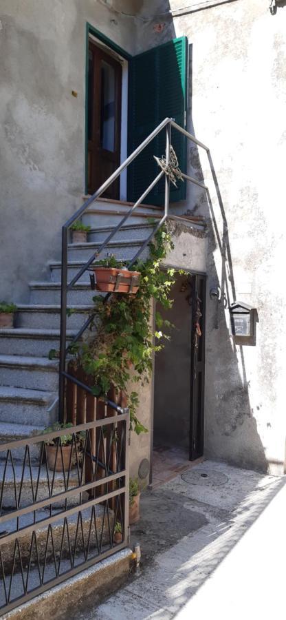 Nicolas House Campiglia dʼOrcia Esterno foto