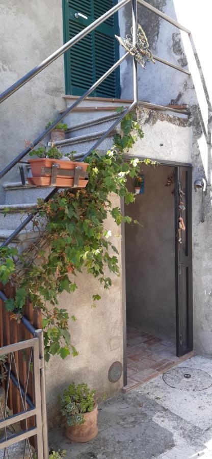 Nicolas House Campiglia dʼOrcia Esterno foto