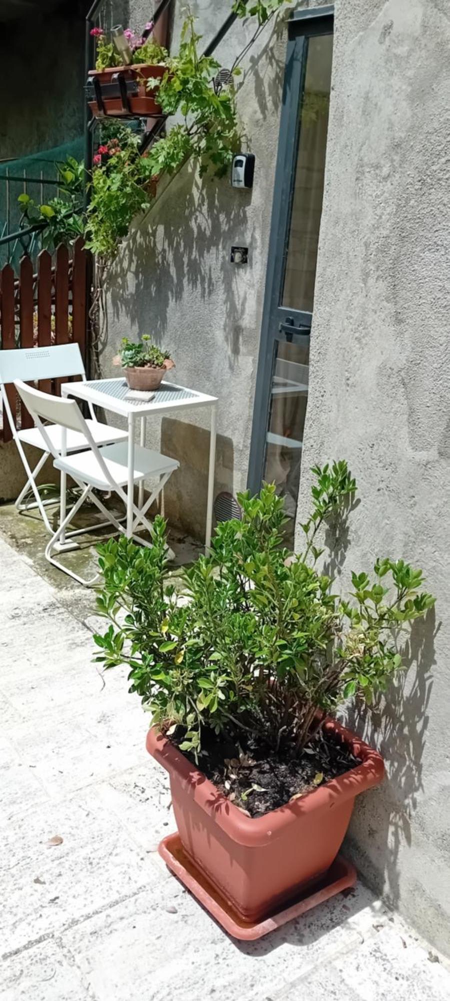 Nicolas House Campiglia dʼOrcia Esterno foto
